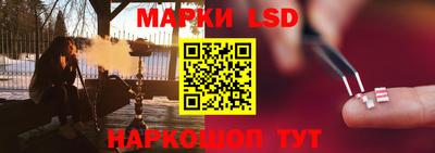 прущие грибы Пыть-Ях