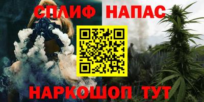 прущие грибы Пыть-Ях